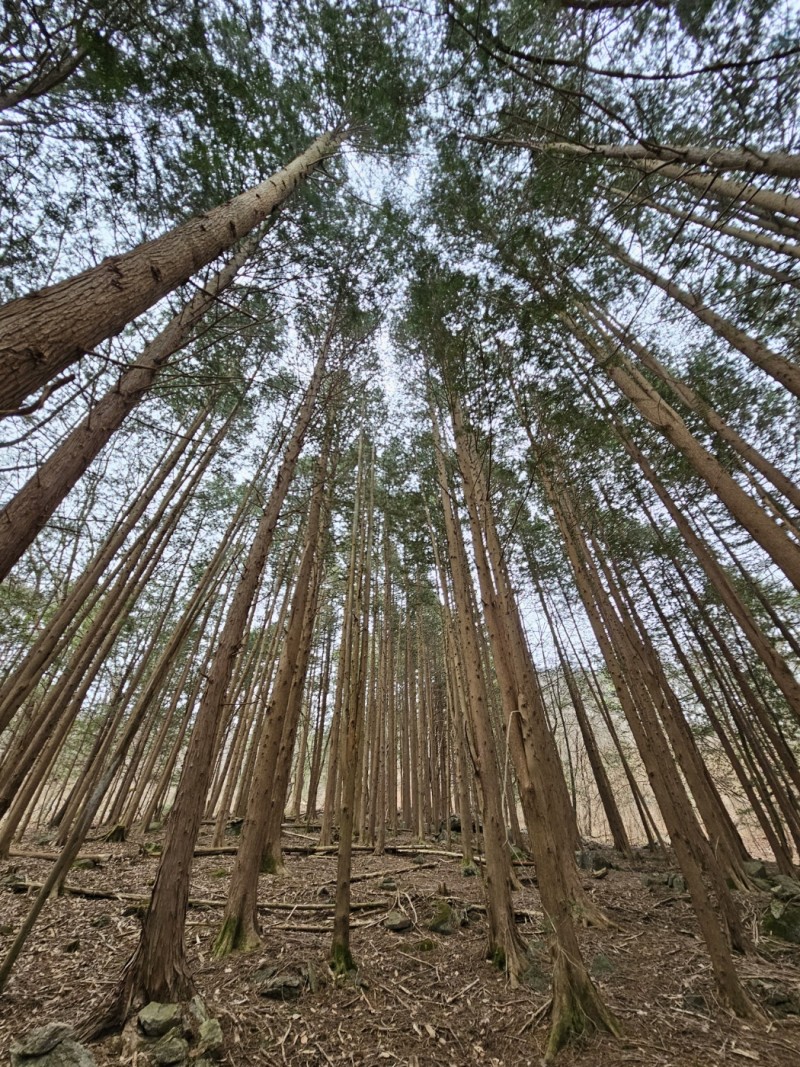 f4b026f2cef3594ca1a2d66935486996_1714467300_3803.jpg
